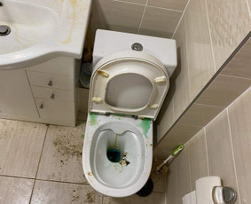 Visos valymo paslaugos,aplinkos priežiūra / MB Etvarka / Darbų pavyzdys ID 2970478