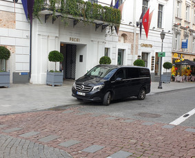 Mikroautobuso Mercedes nuoma su vairuotoju, keleivių vežimas / Gintaras / Darbų pavyzdys ID 2970924
