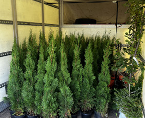 Mb Kirveza perkraustymo, pervežimo paslaugos / Paulius MB Kirveza / Darbų pavyzdys ID 2971254