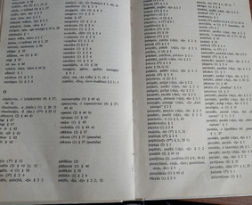 Knygų, kitų leidinių, baigiamųjų darbų redagavimas / Redaktorė Rūta / Darbų pavyzdys ID 2972298