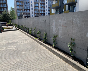 Aplinkos tvarkymas, želdinių formavimas ir kiti darbai / Aplinka gražiai / Darbų pavyzdys ID 2981732