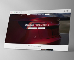 Interneto svetainių ir el.parduotuvių kūrimas, seo paslaugos / Justas Radvila / MB Gotidea / Darbų pavyzdys ID 2982028