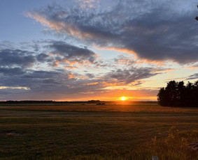Autentiškos sodybos,pirties nuoma.šventėms,stovykloms,sau. / SoBud / Darbų pavyzdys ID 2982248