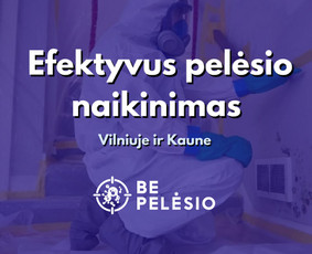 Efektyviausias Pelėsio Naikinimas Vilniuje ir Kaune - Buitinės paslaugos - 1 Buitinės paslaugos - Efektyviausias Pelėsio Naikinimas Vilniuje ir Kaune - 1