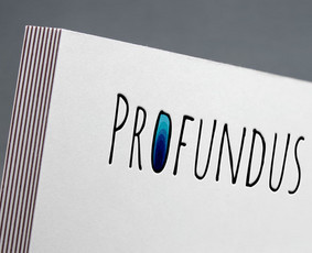 Logotipai + vizualinis identitetas / Sandra Vaičiulienė / Darbų pavyzdys ID 554033
