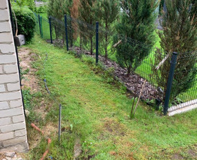 Genėjimas, apželdinimas ir kiti aplinkotvarkos darbai / Dainius Kubilius / Darbų pavyzdys ID 2985142