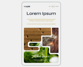 NT marketingas Prekės ženklų kūrimas - Mobiliųjų aplikacijų dizaino kūrimas - 3 Mobiliųjų aplikacijų dizaino kūrimas - NT marketingas Prekės ženklų kūrimas - 3