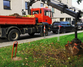 Juodzemis, zvyras, smelis, skalda, betonas, fiskaras-kranas. / MB LECH TRANSPORT / Darbų pavyzdys ID 2986020