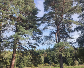 Kadastriniai matavimai -Pastatų pridavimas - Topo nuotraukos / MB "Kadastrozona" / Darbų pavyzdys ID 2988656