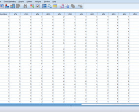 Spss statistikos konsultacijos ir pagalba - Rašto darbų konsultantai - 2 Rašto darbų konsultantai - Spss statistikos konsultacijos ir pagalba - 2