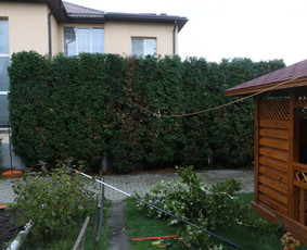 Vaismedžių/medžių genėjimas, gyvatvorių karpymas, šienavimas / Pavelas / Darbų pavyzdys ID 2989694
