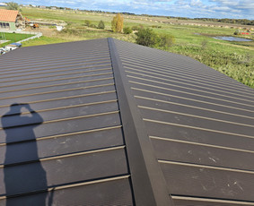 Stogdengiai. Stogo dengimas / Uab Algio stogai / Darbų pavyzdys ID 2995656