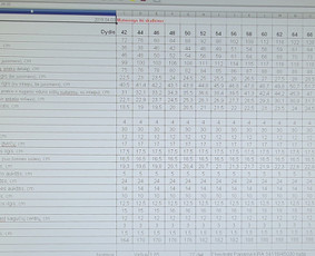 Tradiciniai amatai - Drabužių konstravimas - 2