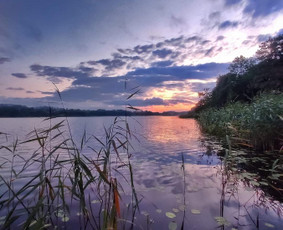 Bitės vila - Kaimo turizmo sodybos - 2 Kaimo turizmo sodybos - Bitės vila - 2