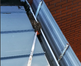 Kaminų,latakų valymas įdėklų mon. Medžių pjovimas-genėjimas. - Stogų ir lietvamzdžių valymas - 1 Stogų ir lietvamzdžių valymas - Kaminų,latakų valymas įdėklų mon. Medžių pjovimas-genėjimas. - 1