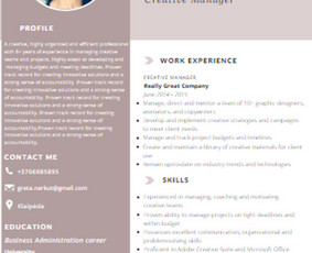 CV rašymas su konsultacija - Cv rašymo paslauga per 1d. Linkedin, Motyvaciniai laiškai - 4