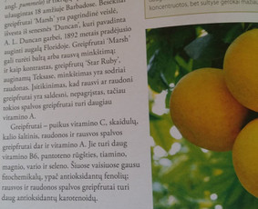 Knygų redagavimas - Profesionalus tekstų redagavimas - 2