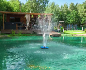 Vila Forest Resort - Sodybos nuomai - 1 Sodybos nuomai - Vila Forest Resort - 1