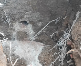 Skylių gręžimas, angų pjovimas geriausia kaina / Gręžimas / Darbų pavyzdys ID 3012070