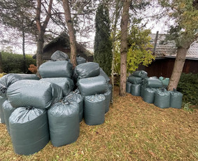 Malkos: gamyba, pristatymas - Sausos pjuvenos/drožlės - 1