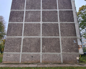 Aukštalipių paslaugos. Tarpblokinių siūlių remontas - Pelėsio naikinimo paslaugos - 1 Pelėsio naikinimo paslaugos - Aukštalipių paslaugos. Tarpblokinių siūlių remontas - 1