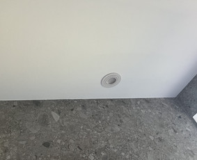 Modernių, išmanių karkasinių namų statyba / Rise Tito House / Darbų pavyzdys ID 3014772