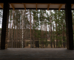 Modernių, išmanių karkasinių namų statyba / Rise Tito House / Darbų pavyzdys ID 3015348
