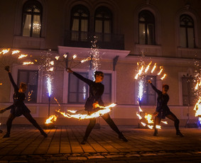 Led šviesos ir Lazerių šou / Ugnies teatras / Darbų pavyzdys ID 561345