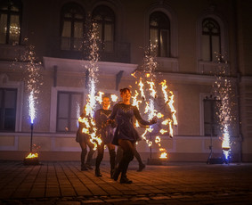 Led šviesos ir Lazerių šou / Ugnies teatras / Darbų pavyzdys ID 561347