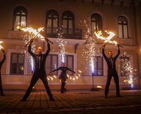 Led šviesos ir Lazerių šou / Ugnies teatras / Darbų pavyzdys ID 561353