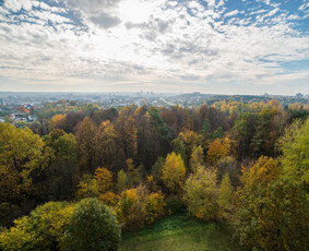 Nekilnojamojo turto brokeris Vilniuje / Artur Bogdevič / Darbų pavyzdys ID 561541