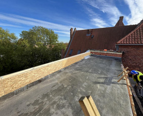 Stogdengys Naujastatyba Senų renovacija,remontas,lankstiniai / MB ,, Andjusta Statyba " / Darbų pavyzdys ID 3018308