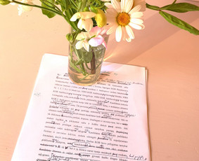 Teksto tikrinimas - Profesionalus tekstų redagavimas - 1