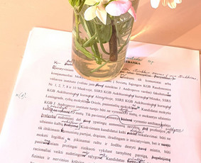 Straipsnių redagavimas - Profesionalus tekstų redagavimas - 1