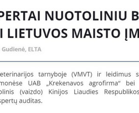 Kinų kalbos vertėja - Mokymai, kursai, kalbos - 4 Mokymai, kursai, kalbos - Kinų kalbos vertėja - 4