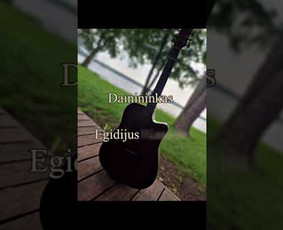 Renginių vedėjas - Dainininkas - Dj / Egidijus Kasputis / Darbų pavyzdys ID 3019814