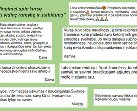 Psichologinės konsultacijos dėl streso, nerimo, įtampos. / Ieva Mačionytė / Darbų pavyzdys ID 3020014