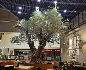 Statybos darbai - Armstrong Pakabinamų Lubų Montavimas - 1