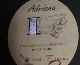 3D spausdinimas, lazerinis graviravimas, pjovimas / Boom Wood / Darbų pavyzdys ID 3020638