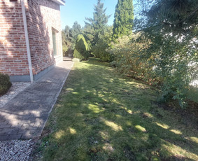 Žolės Pjovimas / Aplinkos Priežiūra / Mantas Ruginis / Darbų pavyzdys ID 3023012