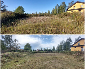 Žolės Pjovimas / Aplinkos Priežiūra / Mantas Ruginis / Darbų pavyzdys ID 3023406
