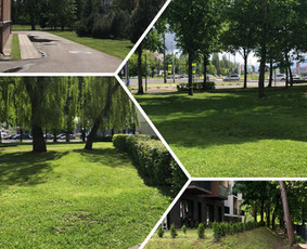 Krovinių pervežimas - &Scaron;iuk&scaron;lių i&scaron;vežimas ir perkraustymas - 4