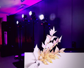 Dj Paslaugos, Renginių Įgarsinimas Ir Apšvietimas / Danelton Grupė / Darbų pavyzdys ID 3025966