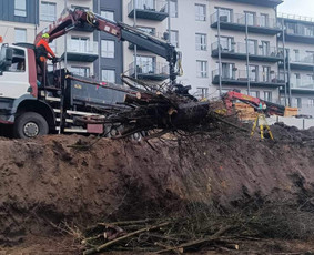Pavojingu medžiu pjovimas, sklypų valymas, šakų išvežimas / Vytautas Tveraga / Darbų pavyzdys ID 3028408