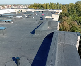 Stogu dengimas bitumine prilydoma danga,karkasas,fasadai. / Sergejus / Darbų pavyzdys ID 3028578