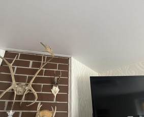 Įtempiamos lubos / Vidas Lapkus / Foxas / Darbų pavyzdys ID 3028750