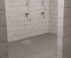 Karkasiniai namai, stoginės, terasos, pavesines, apdaila / Stonama / Darbų pavyzdys ID 3029502