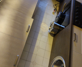 Valymo darbai / Alina Jak / Darbų pavyzdys ID 3030224