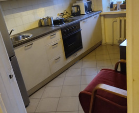 Valymo darbai / Alina Jak / Darbų pavyzdys ID 3030228