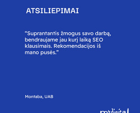 Seo, Ai Seo jūsų projektams. Nemokama konsultacija / Mantas Tamošaitis / Darbų pavyzdys ID 3030758